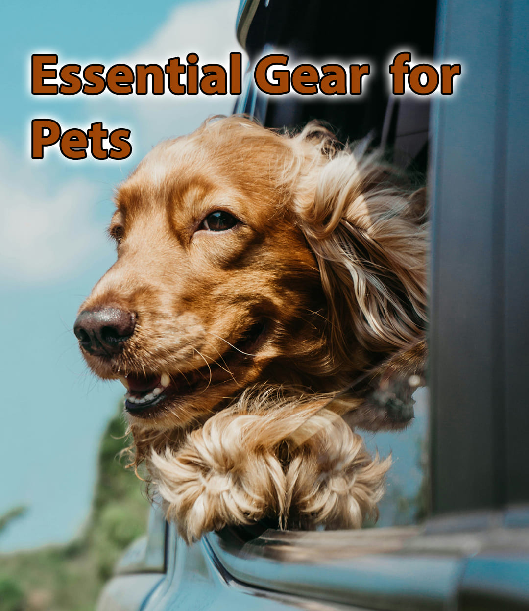 Pet Travel Gear