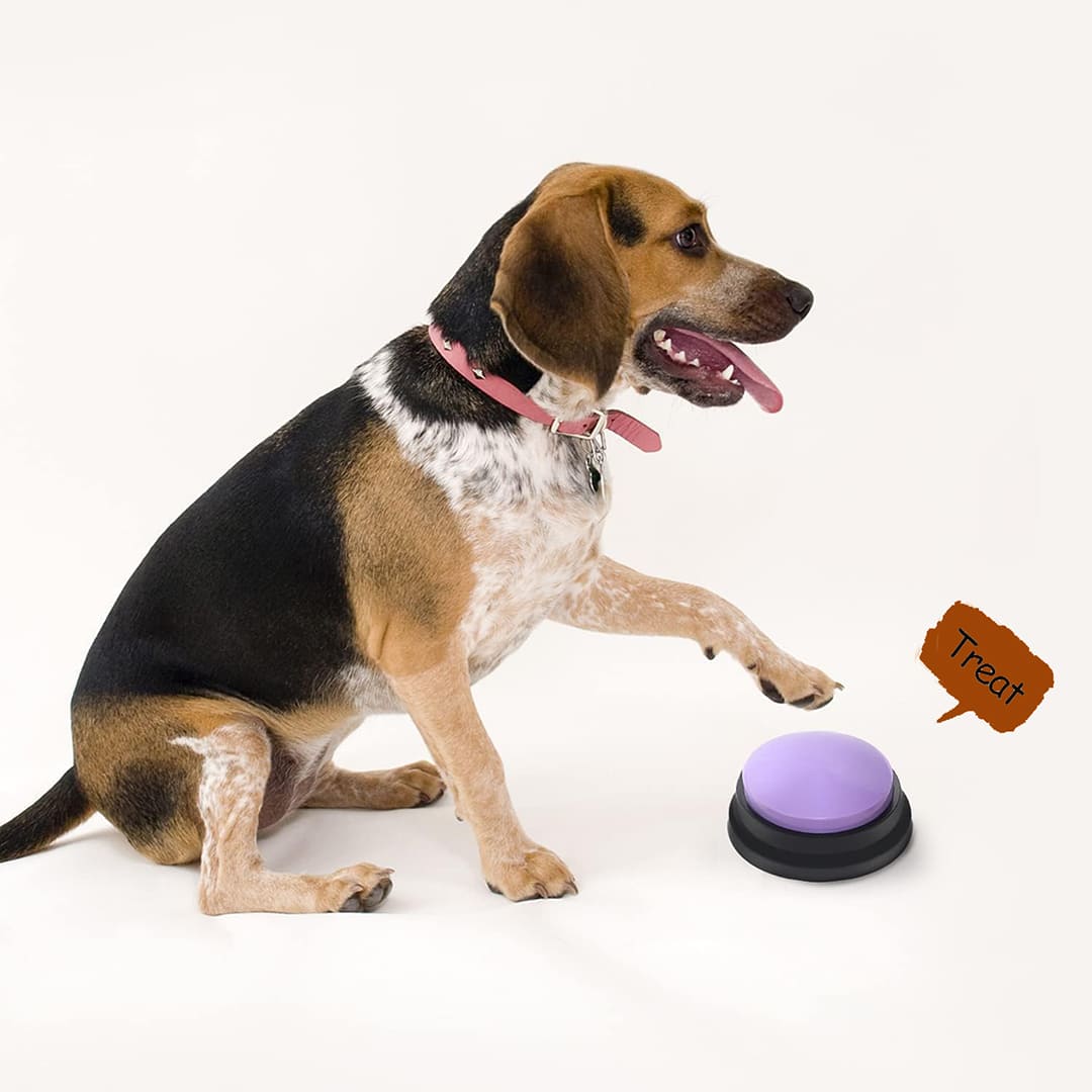 Customizable Pet Voice Buttons Fun & Portable Dog Toy®