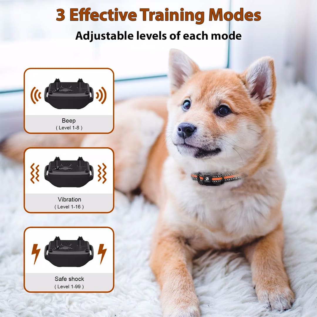 Waterproof Dog Training Collar 3608-ft®