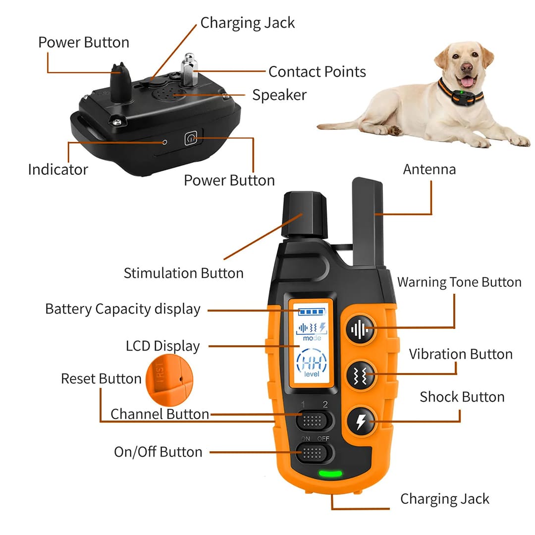 Waterproof Dog Training Collar 3608-ft®