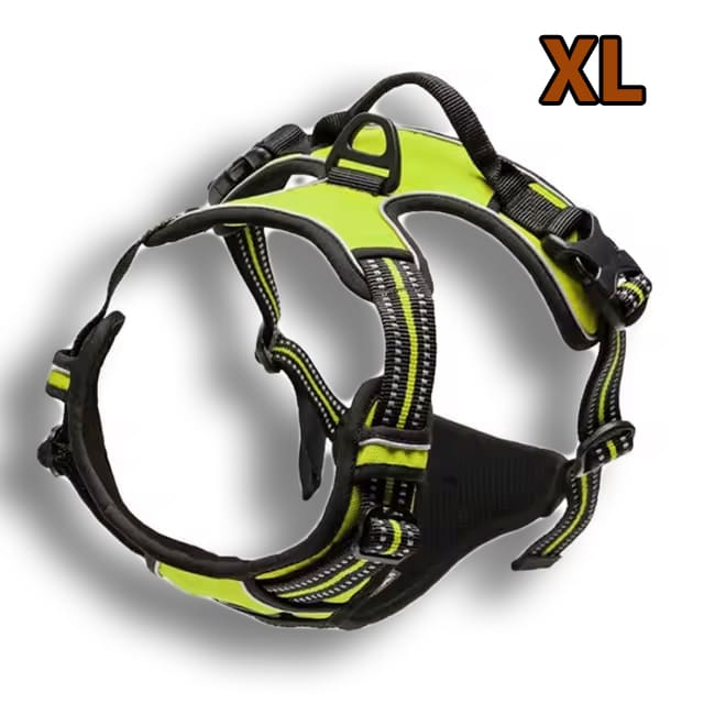 No-Pull Dog Harness with 2 Leash Clips Adjustable Fit®