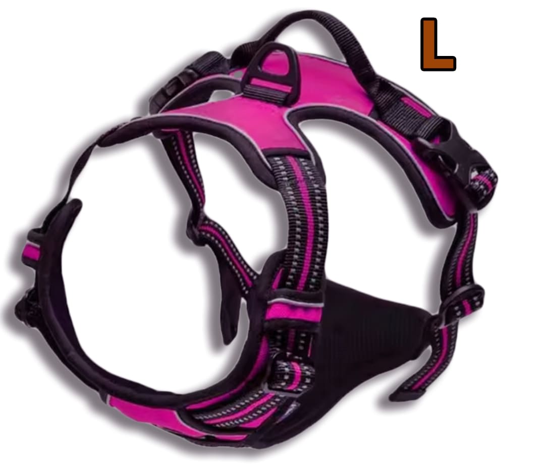 No-Pull Dog Harness with 2 Leash Clips Adjustable Fit®