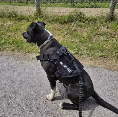 Large Dog Harness & Leash Set for Training Walking & Control