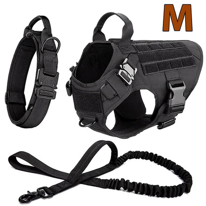 Large Dog Harness & Leash Set for Training Walking & Control