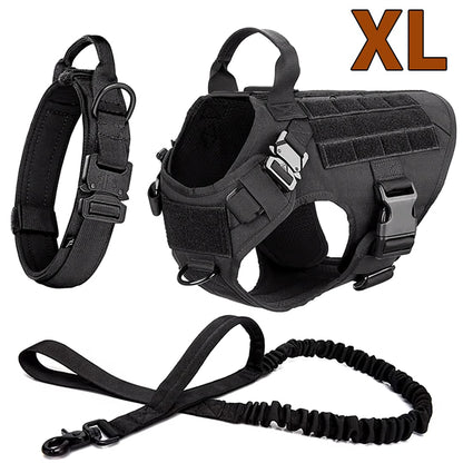 Large Dog Harness & Leash Set for Training Walking & Control