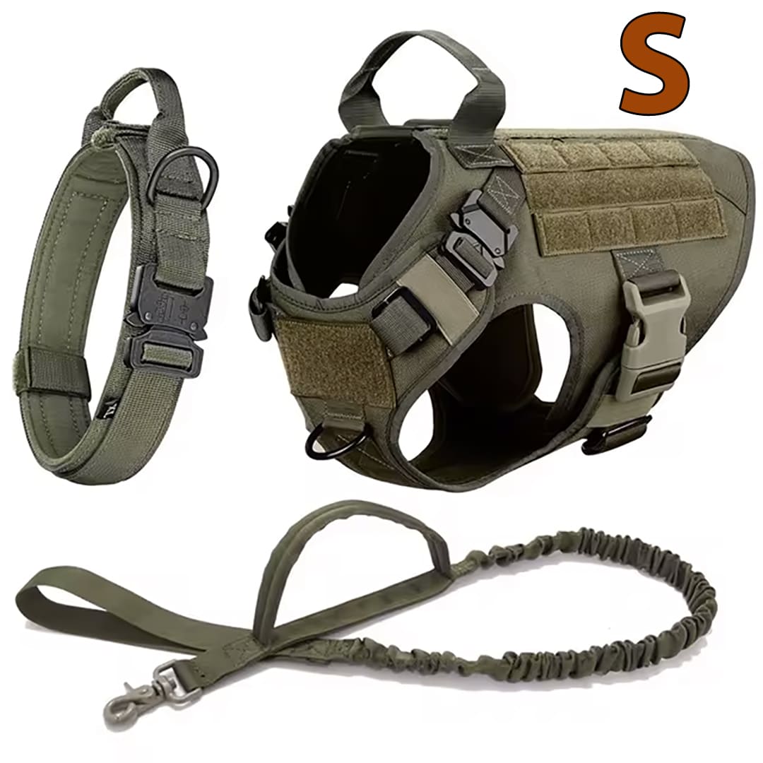 Large Dog Harness & Leash Set for Training Walking & Control