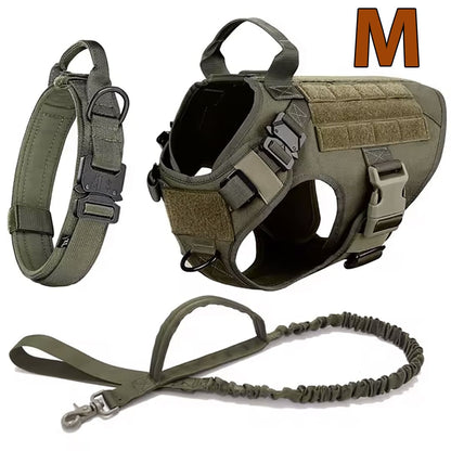 Large Dog Harness & Leash Set for Training Walking & Control