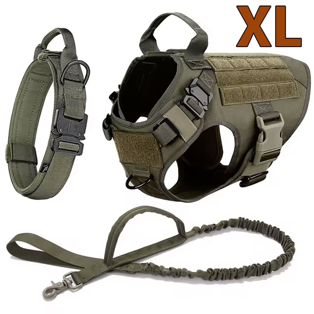 Large Dog Harness & Leash Set for Training Walking & Control