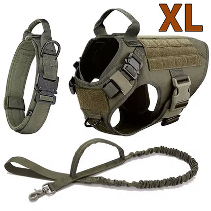 Large Dog Harness & Leash Set for Training Walking & Control