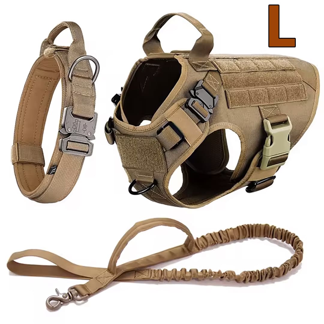 Large Dog Harness & Leash Set for Training Walking & Control