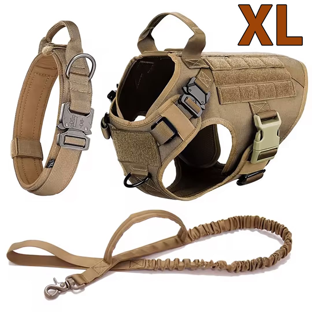 Large Dog Harness & Leash Set for Training Walking & Control