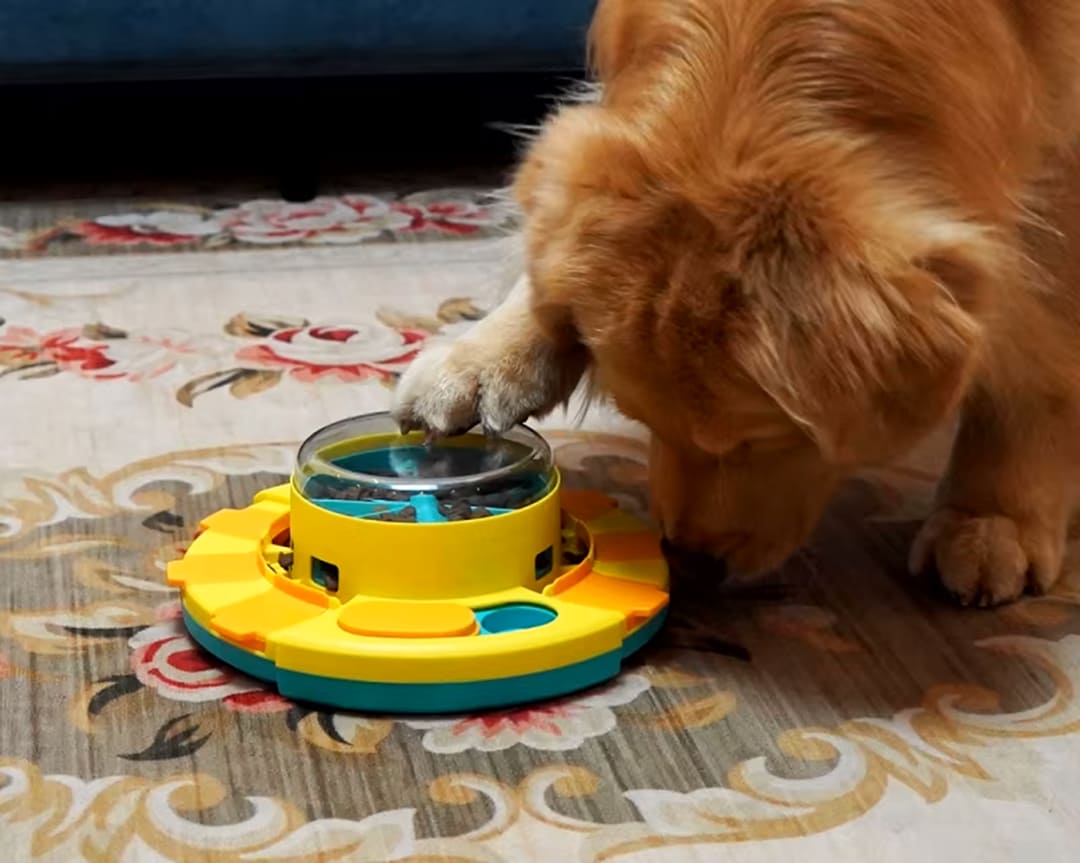 2-in-1 Dog Puzzle & Feeder: Interactive IQ Training Treat Bowl