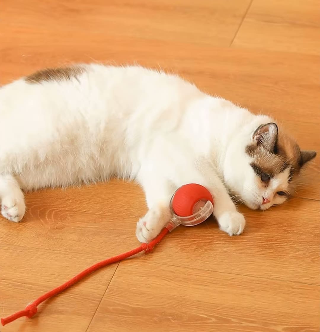 Rechargeable Smart Toy Ball with Faux Tail for Cats and Dogs® - Doggy Dreams Red