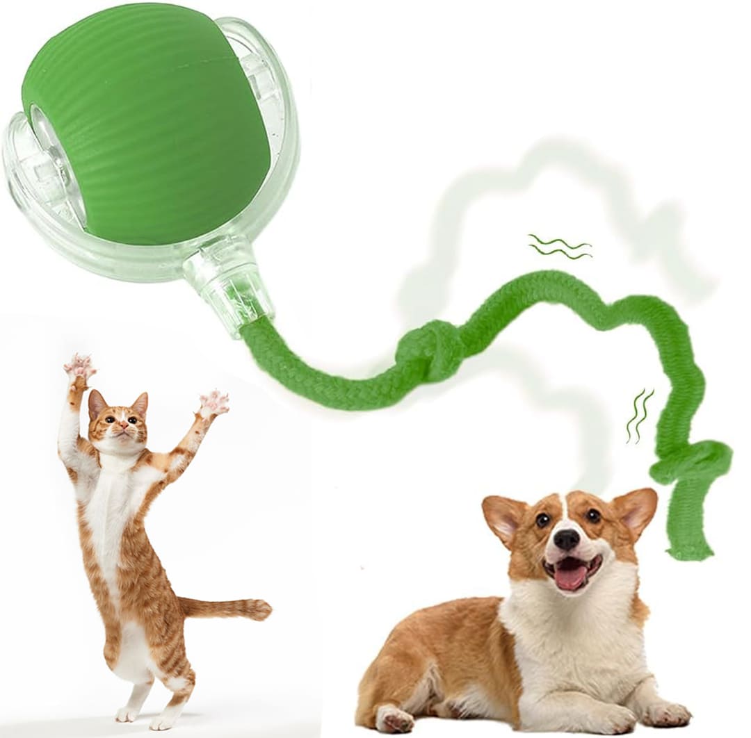 Rechargeable Smart Toy Ball with Faux Tail for Cats and Dogs® - Doggy Dreams Green