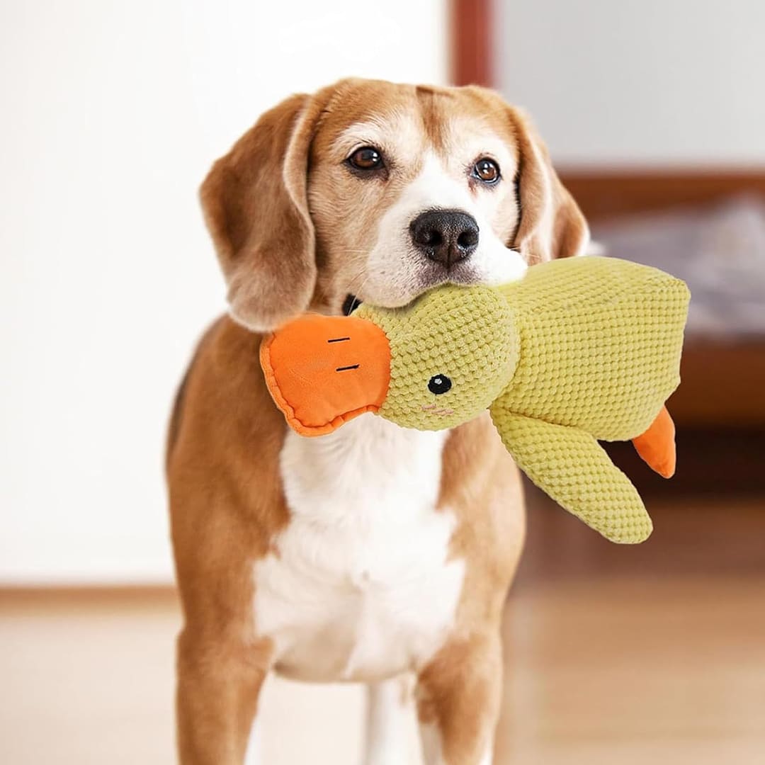 Durable Plush Chew Toy Calming Duck With Sounds for Dogs®