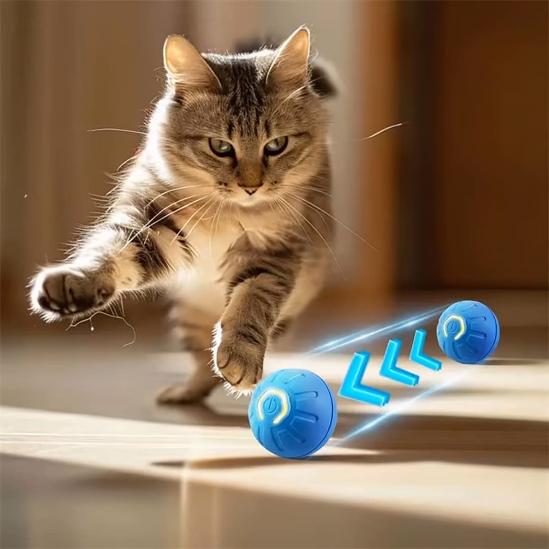 Interactive Pet Toy Ball USB Rechargeable Auto Bouncing for Cats Dogs®